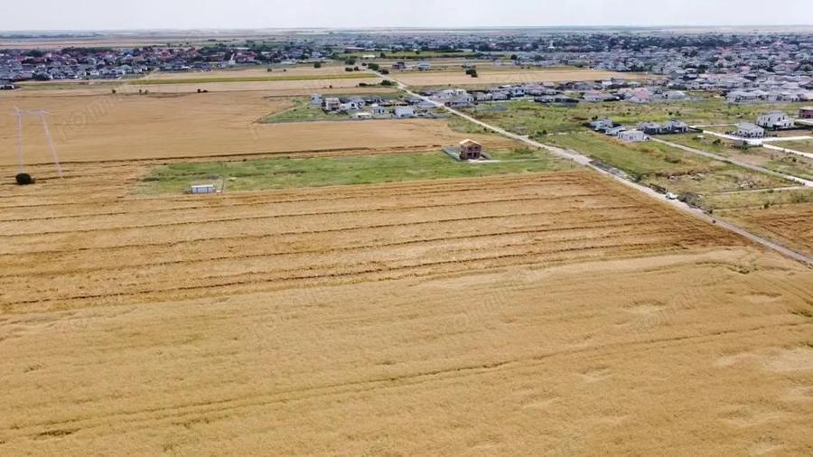 Teren Intravilan In Rate Sf. Ana - Com. Berceni | curent | #UG25 - 5