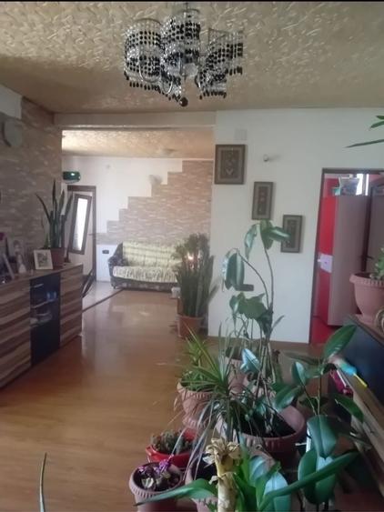 Casa de vanzare P+M cu garaj - 7