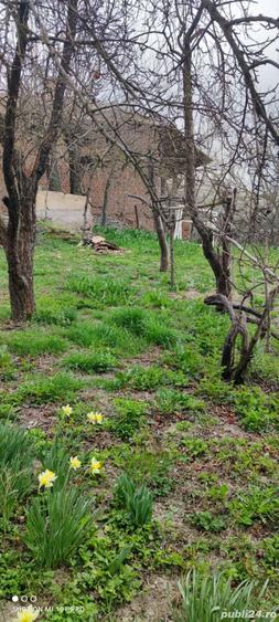 casa in Sprancenata - 7