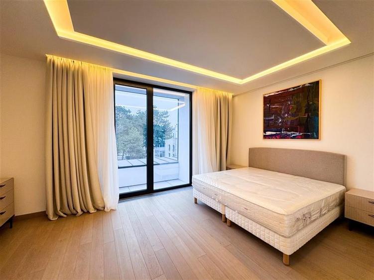 Apartament de inchiriat 4 camere Kiseleff - 18