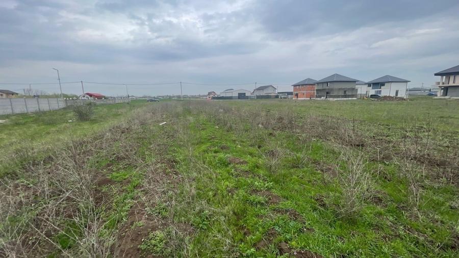 REL4001112 Teren I De Vanzare I Clinceni - 2