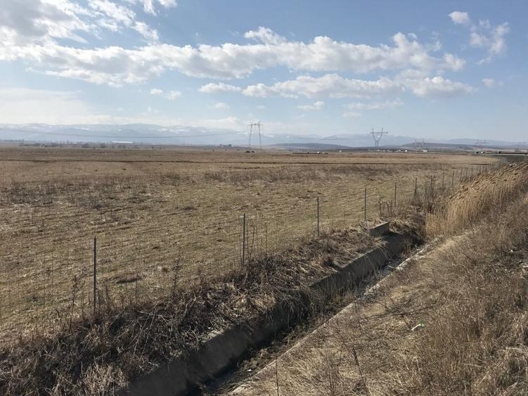 Teren de vanzare 20.000 mp pretabil benzinarie centura, direct de la proprietar! - 5