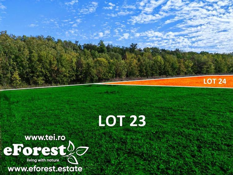 Promotia de Paste a inceput la eForest, Loturi de casa intre 2 paduri - 4