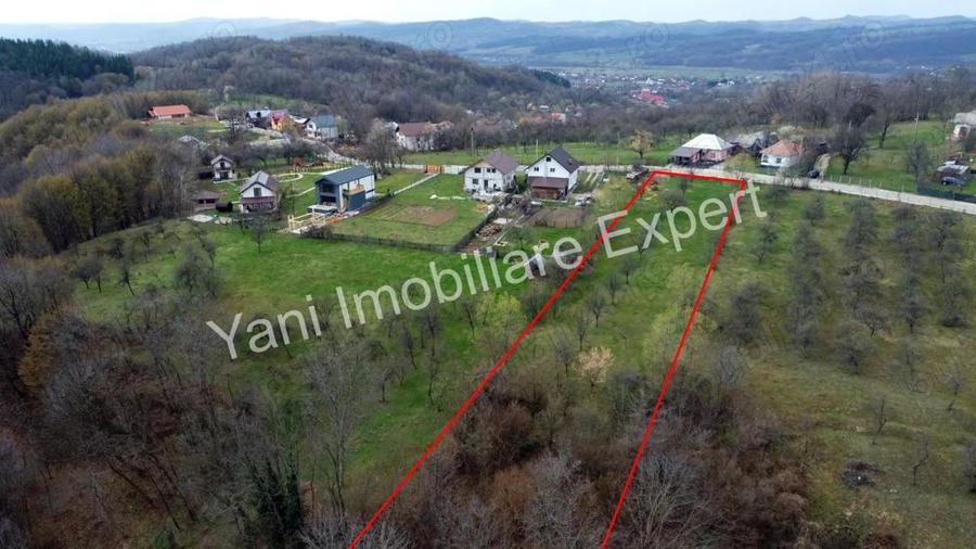 Teren de vanzare in comuna Valea Iasului, sat Cerbureni, jude? Arge?. - 9