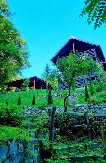 Vand Cabana cu ciubar (Fenes jud Alba) - 4