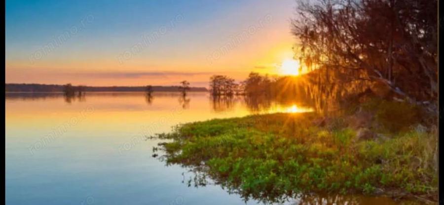 SISESTI teren. 5000mp iesire la LAC - 1