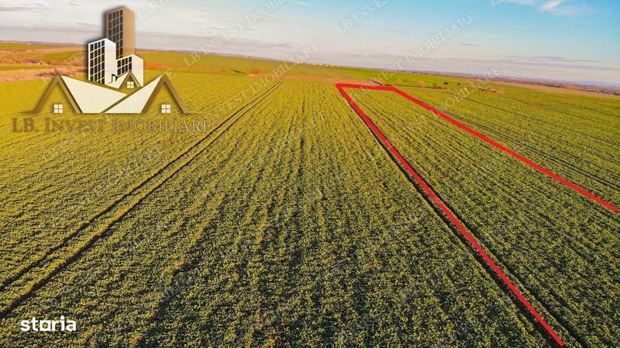 Teren Giarmata- asfalt-utilitati- PUG de locuinte colective - 2