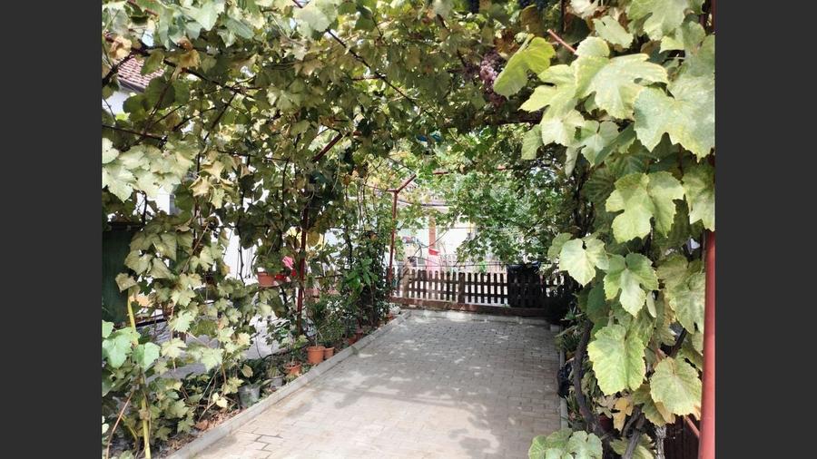 Casă Înșiruită pe Parter – Renovată Integral – Terasă + Curte - 4