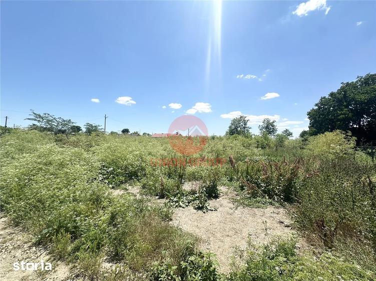 Teren de 1700 mp, în Amzacea