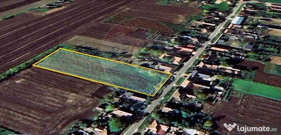 Teren intravilan 5,018mp Variasu Mare - 15 km de Arad/ st... - 3