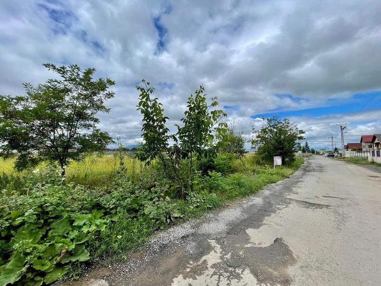 Teren intrare Sanpetru 10.689mp intravilan! - 2
