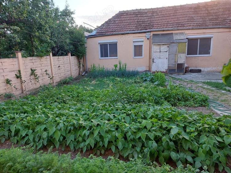 Casa mare de vanzare in Calea Sagului - 2