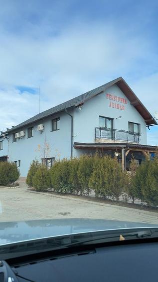 Pensiune plus 2 hale. - 6