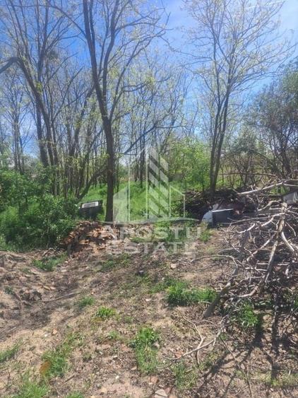 Casa individuala in Cruceni ,la granita cu Serbia - 16