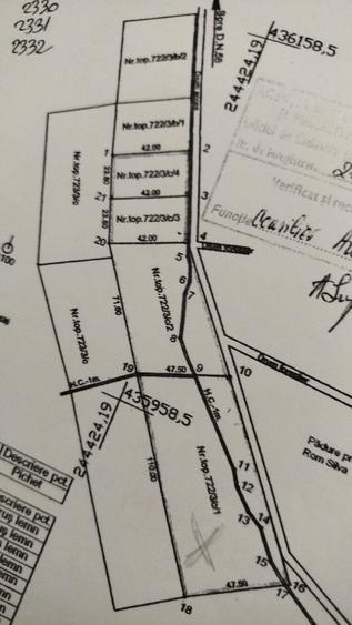 4 parcele a 950 mp fiecare - Bocsa Romana, Caras-Severin - 2