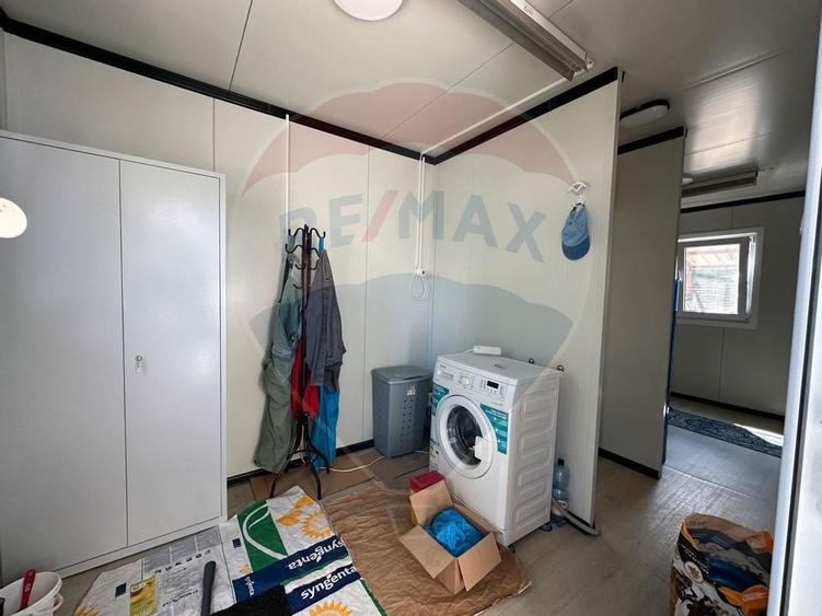 Ferma porcine la cheie - 12