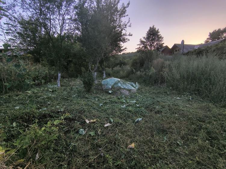 Teren intravilan la ASFALT, intre CASE, in comuna Ocnita - 5