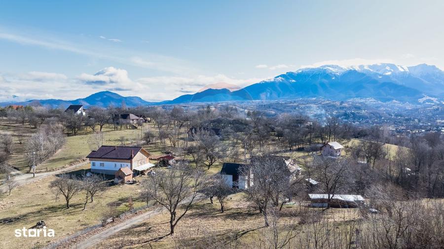 Comision 0%! Teren intravilan Predelut 1260mp - 5