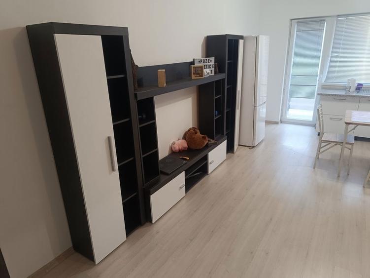 Garsoniera de inchiriat subcetate Sanpetru - 6