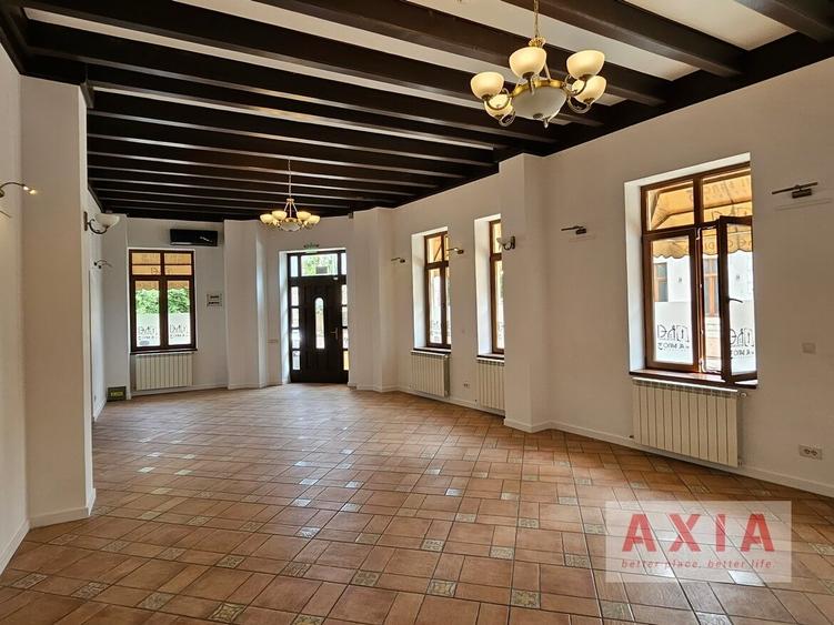 Parter in vila - Calea Calarasilor - birouri - 1