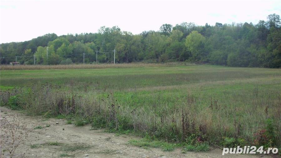 Teren intravilan pretabil constructii case vile Bolotesti(Vitanesti) - 2