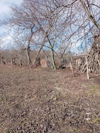 Vand casa cu teren Perieni - 1