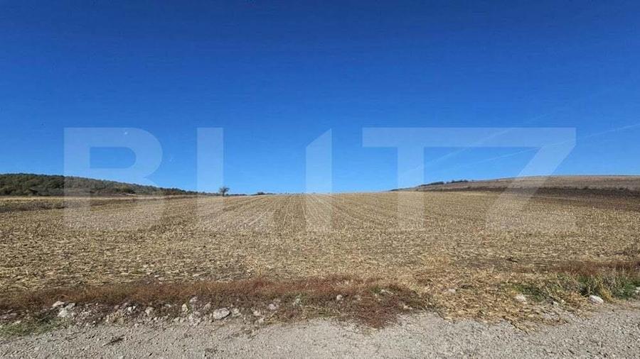 Teren extravilan, 17.000 mp, zona Almasu Mic - 3