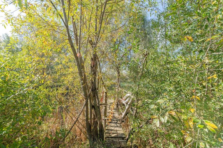 Proprietate rara in Covasna - liniste, spatiu si potential de investitie - 43