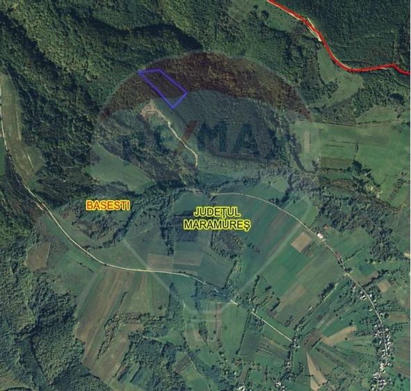 Pădure de vanzare cu zona de cabană Odesti - 1