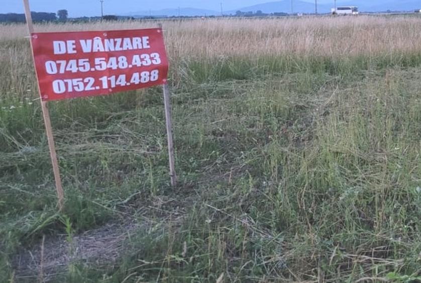 Teren intre case Harman - 3