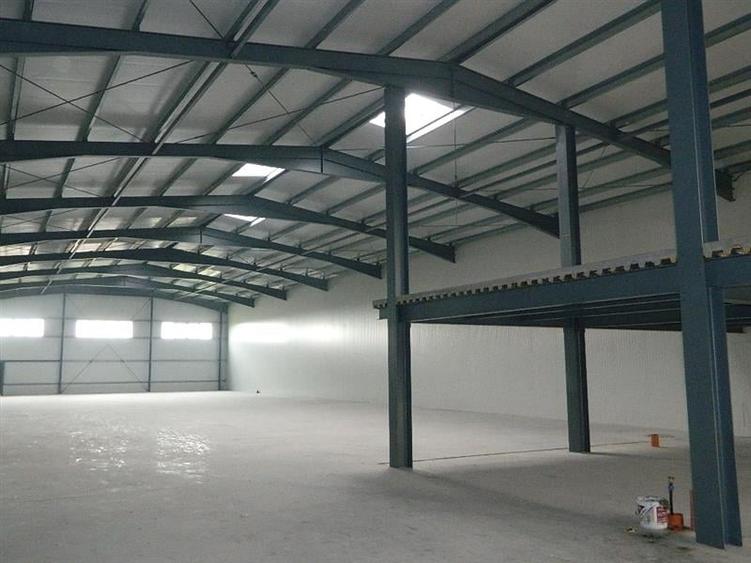 Hala  productie / depozitare Timisoara  ,1000 mp , zona Aradului - 1