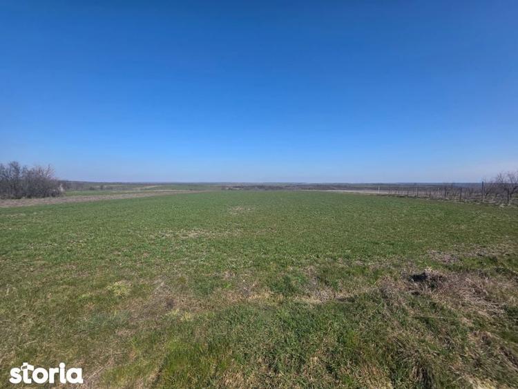 Teren de vanzare, 3800 mp, zona Mischii sat Gogosesti - 3