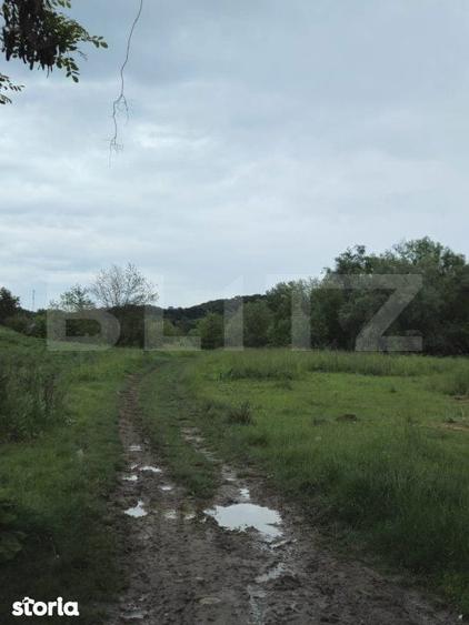 Teren Intravilan de vanzare, in Exclusivitate, Fara Comision la Achizi - 2