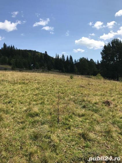 Vand casa +teren+padure - 4