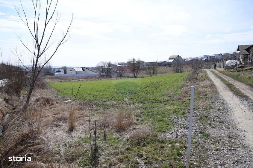 Teren 3,500mp Moara / Strada Pprincipala - 5