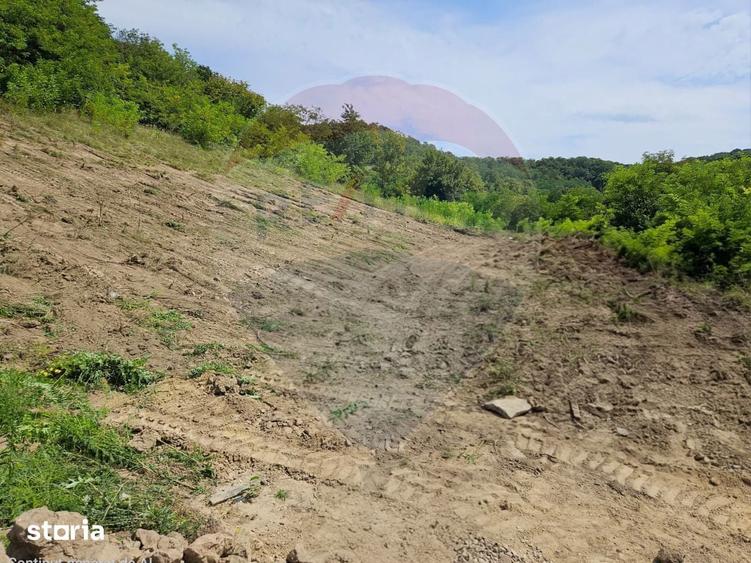 Teren intravilan pentru casa din doua parcele a cate 800mp fiecare - 2