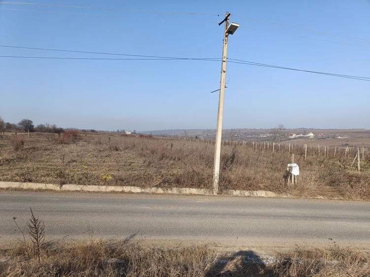 Teren de vanzare intravilan - 2