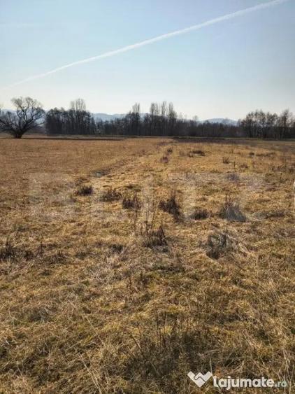 Teren extravilan de vanzare, 40 ARI, zona Racsa - 1