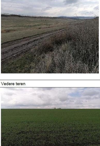 Teren extravilan Tiganasi, cota parte 1/5, ID: R2822453 - 2