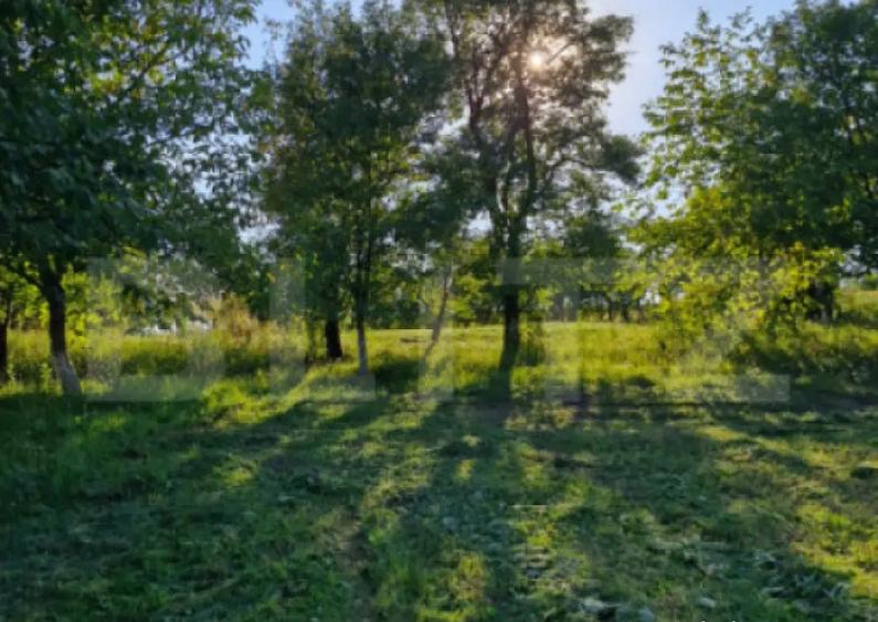 Casa de vanzare Budacu de Jos | 6 km de centrul Bistri - 1