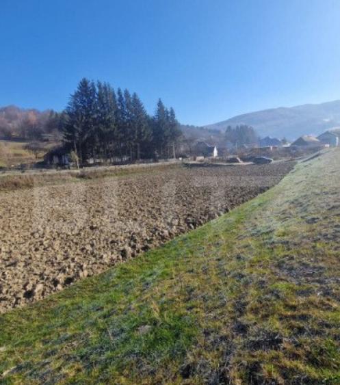 Teren extravilan - Sita Buzaului -6800 mp posibilitate trece - 4