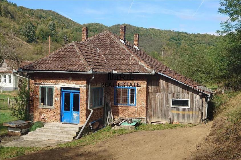 Teren, padure si casa in Dumbrava de Jos, jud. Hunedoara - 20