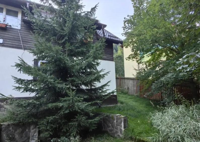 Vila/ pensiune - 11 camere - Moieciu de jos - 5