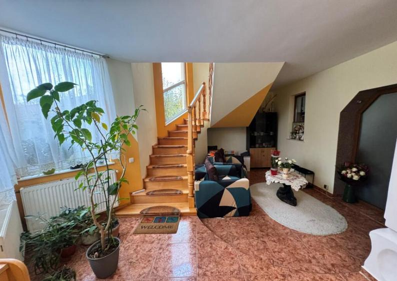 CASA DE VIS SAU AFACERE DE SUCCES BAIA SPRIE - 9