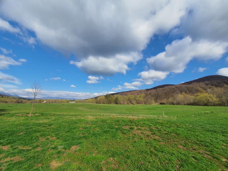 Teren Rasnov – Predeal zona de pensiuni - 6