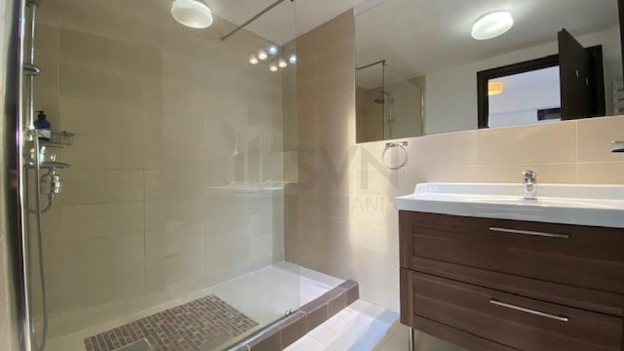 REA1008147 Penthouse 5 camere superb-vedere directa Herastrau - 13