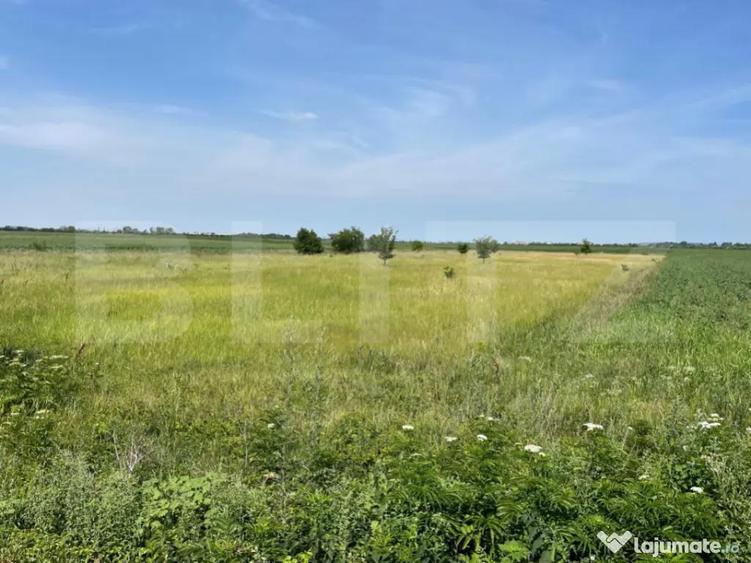 Teren extravilan, 4.994 mp, Targoviste - 3