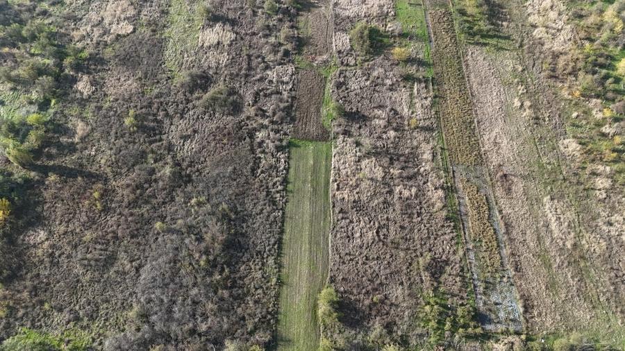 Vidra – Teren 1100 mp – Drum de Acces – Ideal Casa - 2