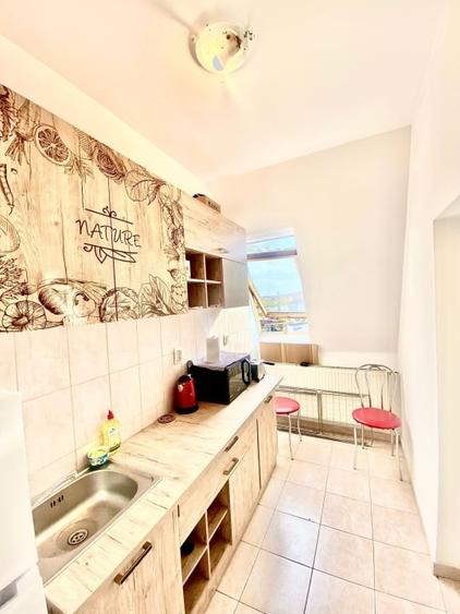 Garsonieră mobilată, utilată, etaj 4, str Războieni - 10