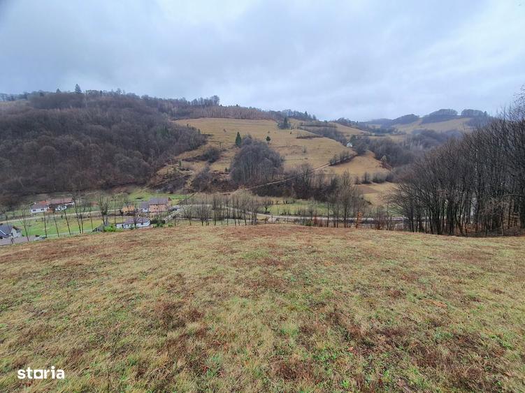 Teren Poiana Marului pretabil investitie 5 euro/mp - 7